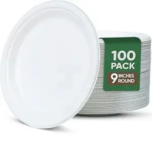 Paper Plates 9 Inches, 100 Pack Disposable Plates For Party – 100% Compostable Plates, Water & Oil Proof Paper Plates, Microwavable Paper Plates Bulk