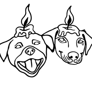 FDT - Mystery Bog-O-Melts