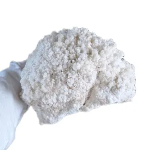 CAVE CALCITE Triple Calcite Mineral Specimen for Collectors and Enthusiasts the brain