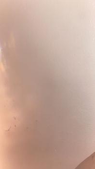 product review image from Eileen Kay 0