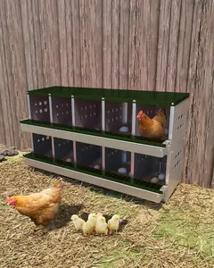 【Christmas Gift】Green Metal Chicken Nesting Box for Laying Eggs, Rustproof Wall-mountable Roll Away Chicken Laying Boxes for Hens, Waterproof, Ventilated with Perch, 10 Compartments