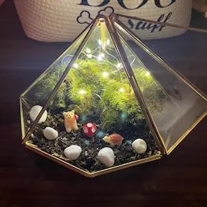 Bioactive Terrarium Kit, DIY terrarium kit with live Moss, sealed terrarium, indoor planter, birthday gift Christmas Gift