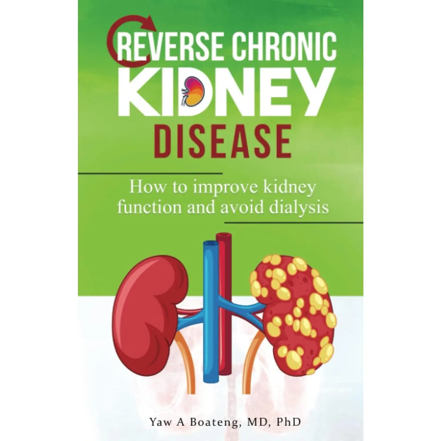 Reverse Chronic Kidney Disease: How To Improve Kidney Function And Avoid Dialysis Book.