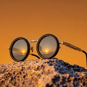 Retro Round Polarized Sunglasses for Men & Women UV400 Protection Vintage Punk Style Shades for Outdoor & Driving Classic Design