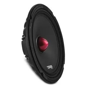PRO 10" Slim Neodymium Mid-Range Loudspeaker with Bullet | 250W RMS 4-Ohm (PRO-NEO10SLIM)