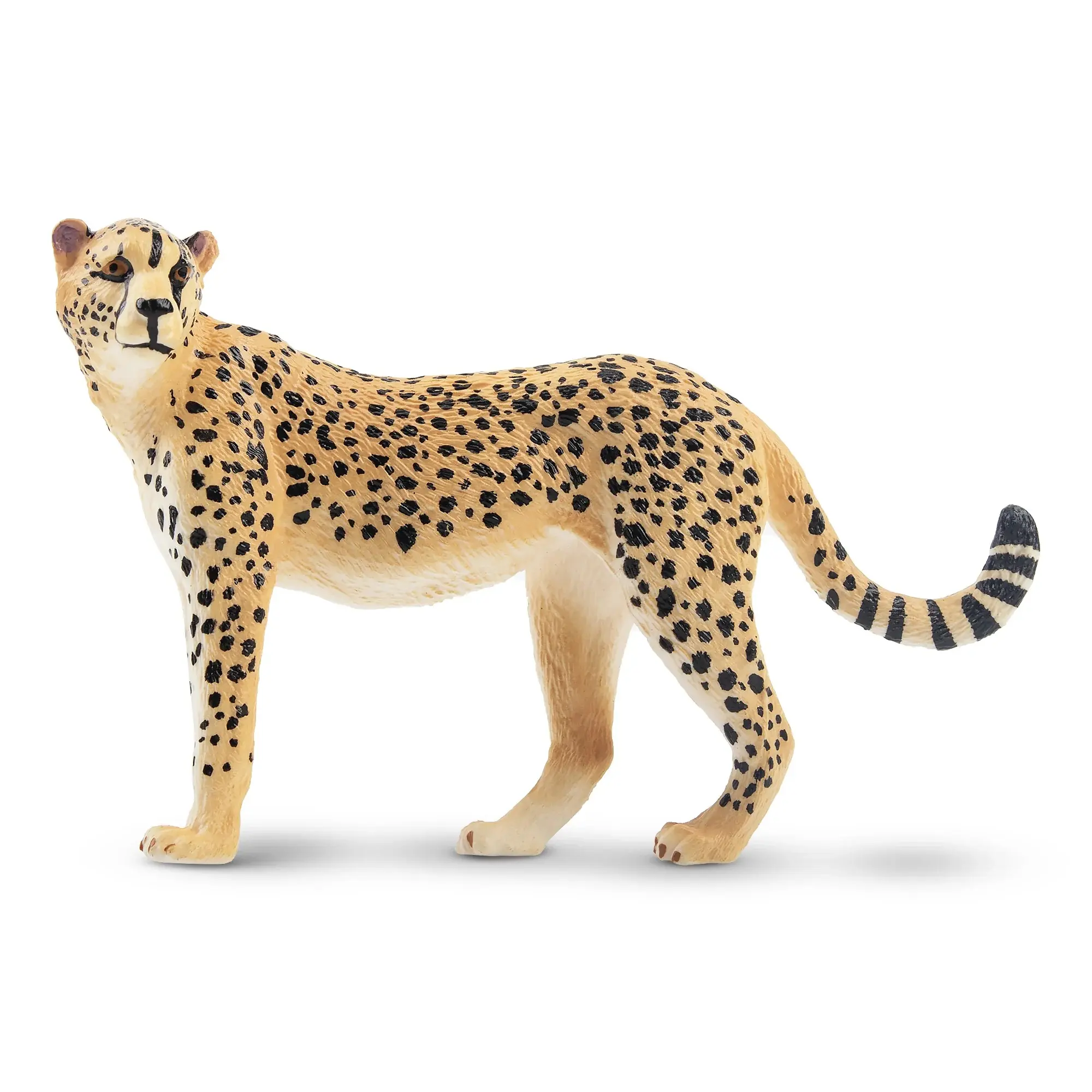 Toymany Hand-Painted Cheetah Figurine - Realistic Unisex Animal Model for Early Education, Montessori Sensory Play, Cake Decor, Desk & Home Accents, Thoughtful Gifts, Collectibles (Toys & Hobbies Action Figure), Plastic