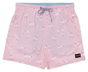 Phantom Poolside Combo 16' Short (Hurley)