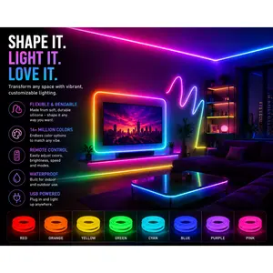 Sector 909 RGBIC Neon Flex Light