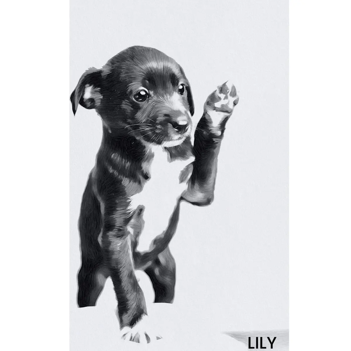 You Pet Portrait Personalized Dog Or Cat Sketch Print Wall Art Print Great Gift for Dog lovers Photo Decor Gift Poster Artistic For Fluffy