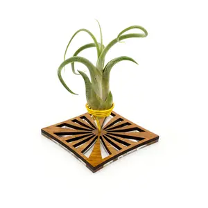 Wire Air Plant Holder S2 - Unique Plant Display Stand // Minimal Modern Wood Home Decor Table Shelf Desk Plant Lover Gift Idea Art