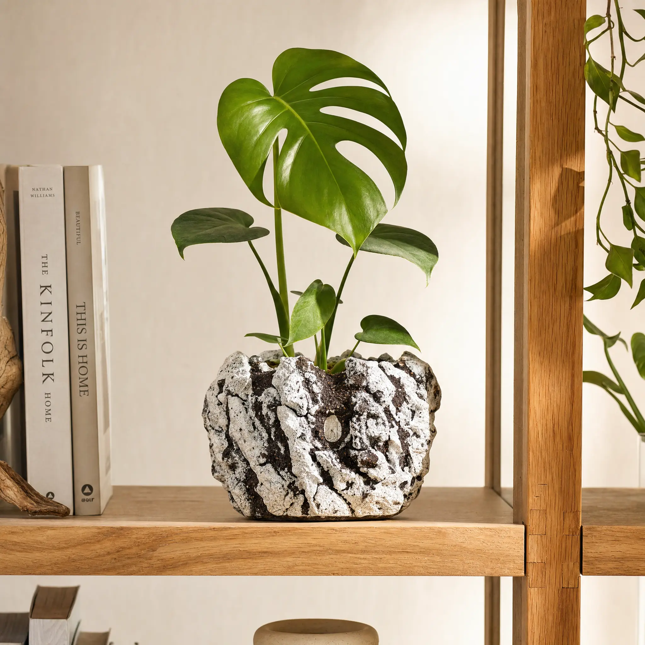 Handmade Lava Texture Round Planter– Wabi-Sabi Rustic Ceramic Flower Pot for Indoor Outdoor Home Decor, Unique Artisan Sculptural Unique Creative Gift Vintage Garden Decorative for women