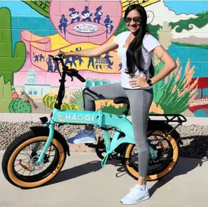 HAOQI Squirrel Folding Ebike HAOQI Squirrel Folding Ebike