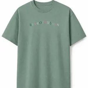 Be A Good Human Tshirt, Cute Tshirt, Short Sleeve Tshirt, Embroidered Tshirt