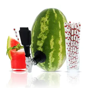 Party On Tap Watermelon Drink Dispenser Kit - Includes Keg Spout, Coring Kit, Straws - Perfect for Parties and Beverage Dispensing