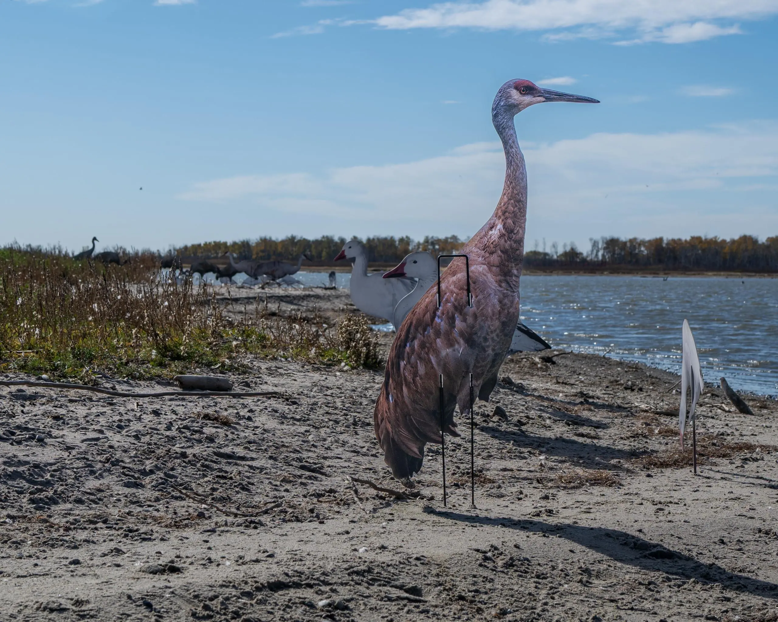 Real-Geese Decoys Gen 3 Sandhill Crane Decoys