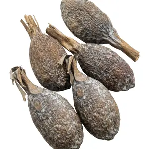 Alligator Pepper Pods (Atare / Grains of Paradise) – 5 Whole Pods, Traditional Nigerian West African Spice, 100% Natural Sun-Dried & Hand-Harvested – JEB FOODS