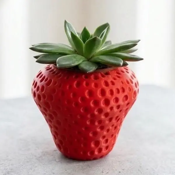 Strawberry Shaped Succulent Pot