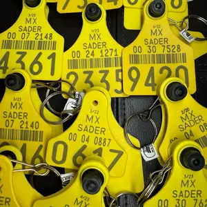 Cattle Tag Keychains/llaveros vaqueros/llavero de arete de vaca