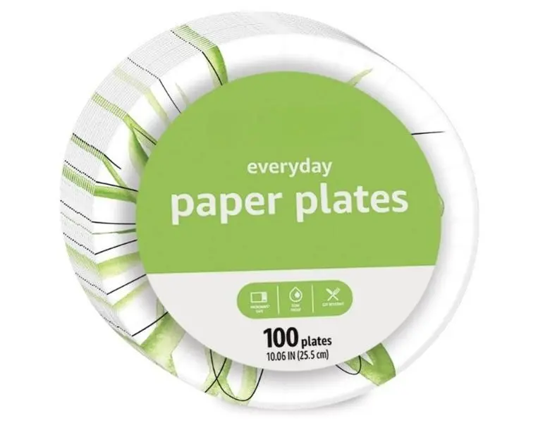 100 Pcs Everyday Disposable Paper Plates (10.6 Inch) Pack