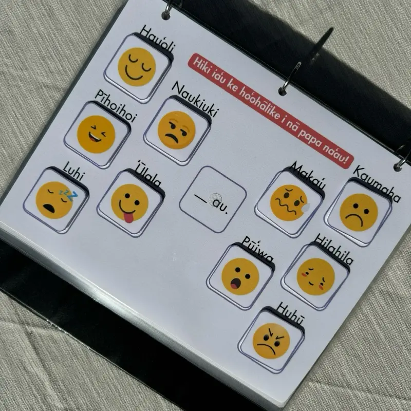 Papa Na‘au Page - Feelings in Hawaiian Language (Single Matching Page for Interactive Learning)