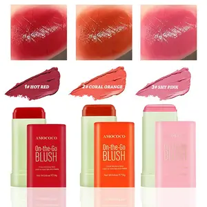 On-the-Go BLUSH Tinted Moisture Stick for Flawless Look - Long Lasting Liquid Blusher with Moisturizing Formula - Natural tones, suitable for cheeks and lips