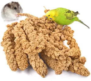 KATUMO 1.1LB Spray Millet Treat for Pet Birds, Natual Sun-Dried Bird Millet Parrot Food for Parakeet Budgie Cockatiel Finches Lovebird Conure Parrots Hamster