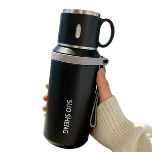 Stainless Steel Vacuum Insulated Bottle 600ML/20oz, Home Water Jug Car Thermos Cup Camping Hiking Office Mug, Ideal Gift for Christmas Halloween Thanksgiving, Flasks, Water Bottles