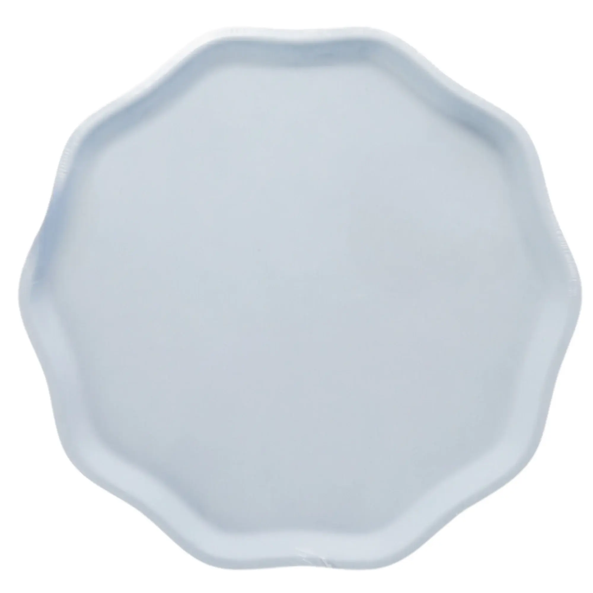 SKY BLUE COMPOSTABLE DINNER PLATES