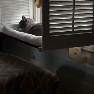 Adjustable Cat'S Air View Platform, This Window Sill Cat Hammock Is Made of Solid Wood, Super Sturdy And Plush, Allowing for Comfortable Viewing of The Cat. Fall in Love with Home Life! Suitable for Window Sills, Bedsides, Drawers And Cabinets