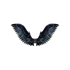 Adult Black Raven Cosplay Costume Wings
