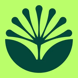 Inner Brightness Official