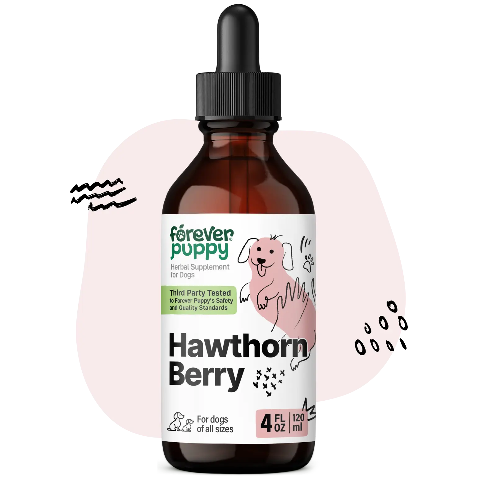 Hawthorn Berry Tincture for Dogs - Antioxidant Support Drops for Dogs w/Hawthorn Berry - Liquid Heart Health Supplement for Happy Pets - No Preservatives & Artificial Colors - 4 oz