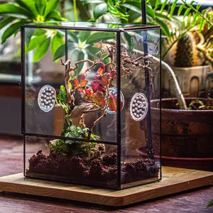 NCYP Large Closed Glass Terrarium with Front Opening Door and 3 Vents for Insects, Snail, Spider, Tarantula Enclosure