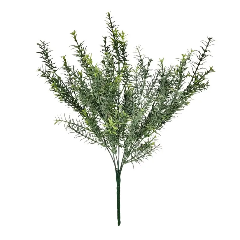 David Christopher 20" Rosemary Bush