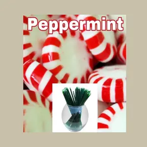 Oh Honey Please Peppermint Flavor Infused 100% Natural Raw & Unfiltered Honey Sticks Eco-Friendly Green Straws