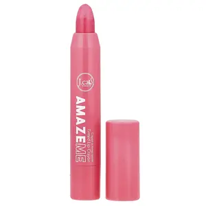 J.Cat Beauty Amaze Me, Tinted Lip Crayon, AMC106 Everything & Anything, 0.14 oz (4 g)
