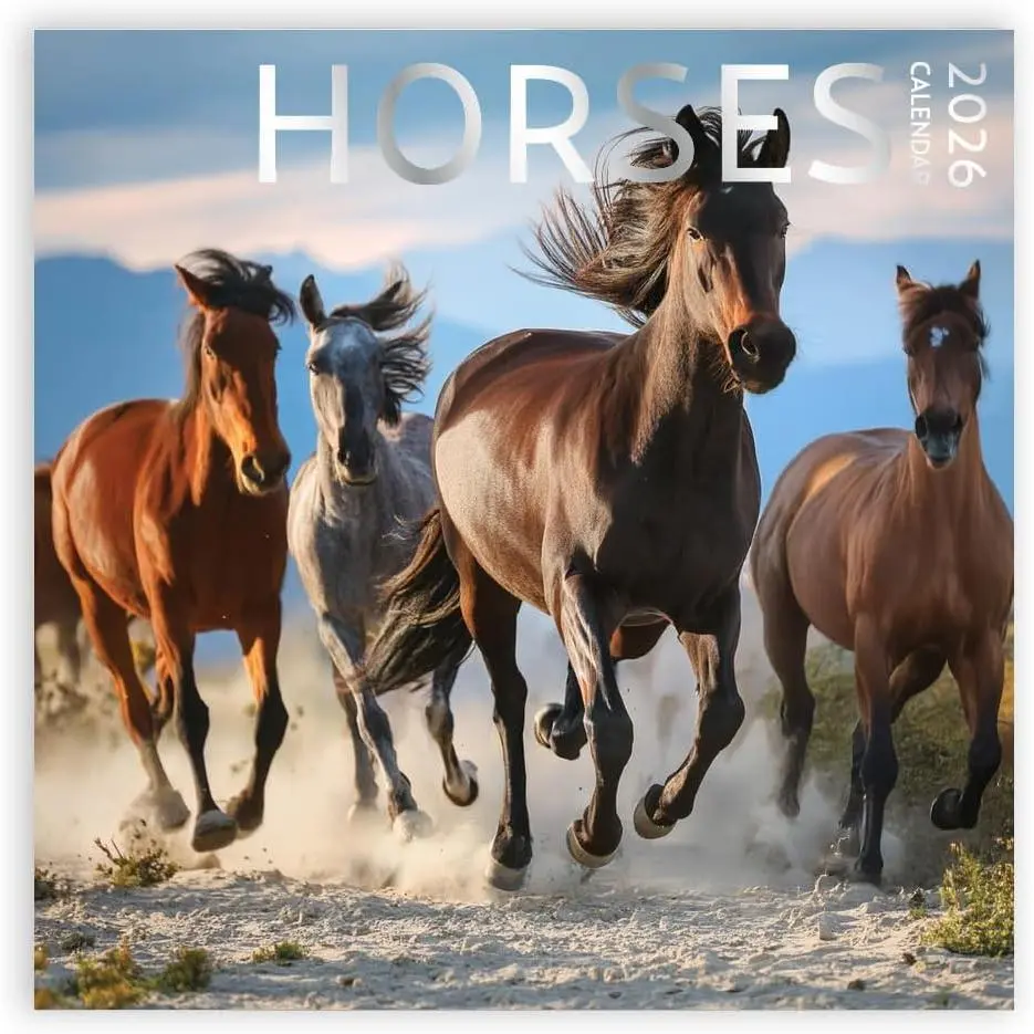 Horses Calendar 2026, Large 12 x 12 inch, Horse Wall Calendar,  for Horse Lovers, Cute Calendar for girls
