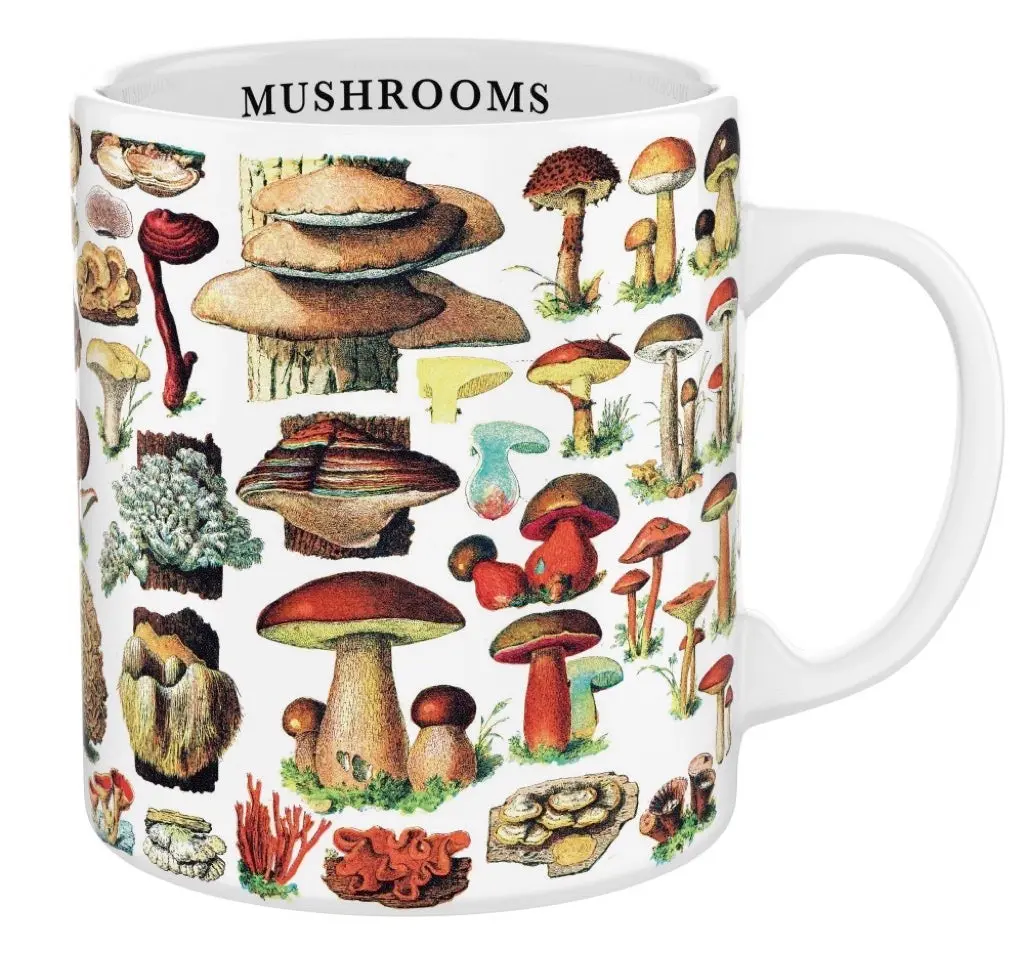 Mushrooms Mug Mushrooms Mug
