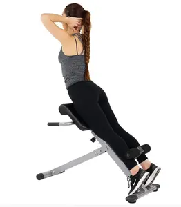 Sunny Health & Fitness Hyperextension Roman Chair Ab Workouts Sit Up Gym Bench for Home