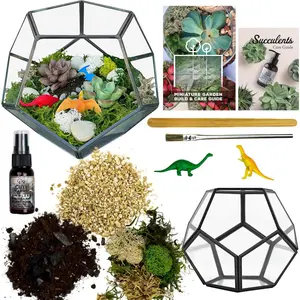 Glass Terrarium Kit | Just Add Your Own  (Geometric Glass)