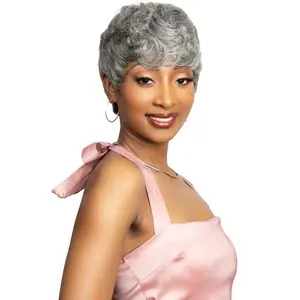 Janet Collection Lavish 100% Virgin Human Hair Silver Full Wig - SIFA