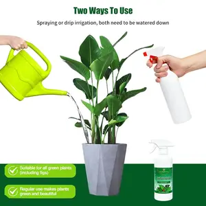 Plant Cleaning & Shine Liquid – Gently Removes Dust, Enhances Leaf Gloss, Nourishes Plants, Ideal for Indoor Greenery & Healthy Growth