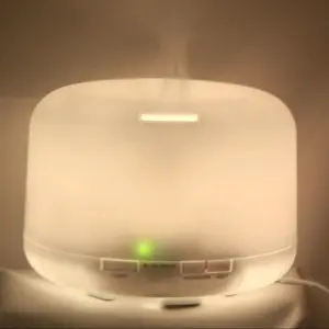 Humidifier/ Aromatherapy/ Diffuser/ Air Purifier