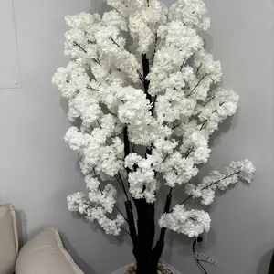 review image 11