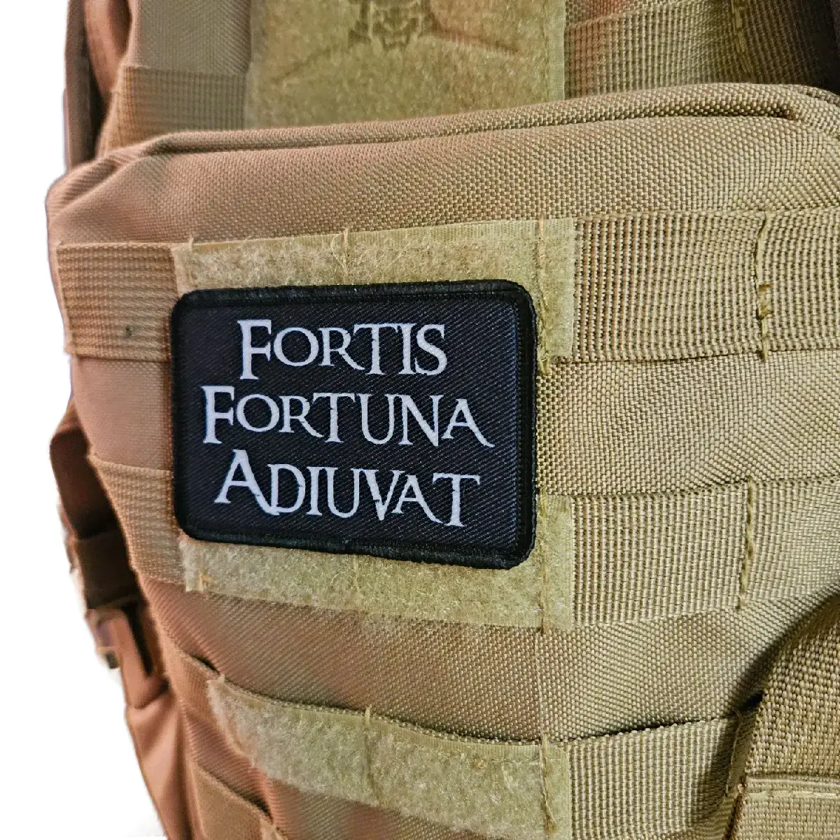 Fortis Fortuna Adiuvat fortune favors the bold 2"x3" morale patch with hook and loop backing