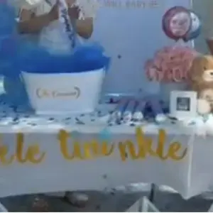 2-Pack Gender Reveal Smoke Sticks - Blue or Pink Colorful Smoke for Parties and Celebrations Sprays