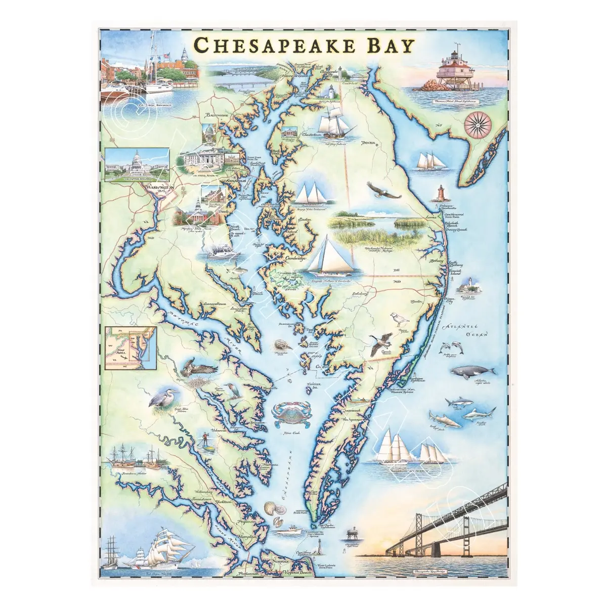 Xplorer Maps MAPCB Chesapeake Bay Hand-Drawn Map