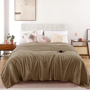Beige Queen Size Fleece Throw Blanket for Bed Couch, Soft for Men, 300GSM Room Flannel Microfiber for All, 90x90 Inches