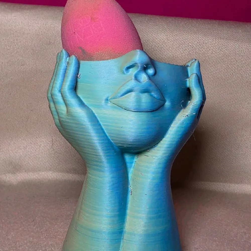 Face Vase/Sponge Holder