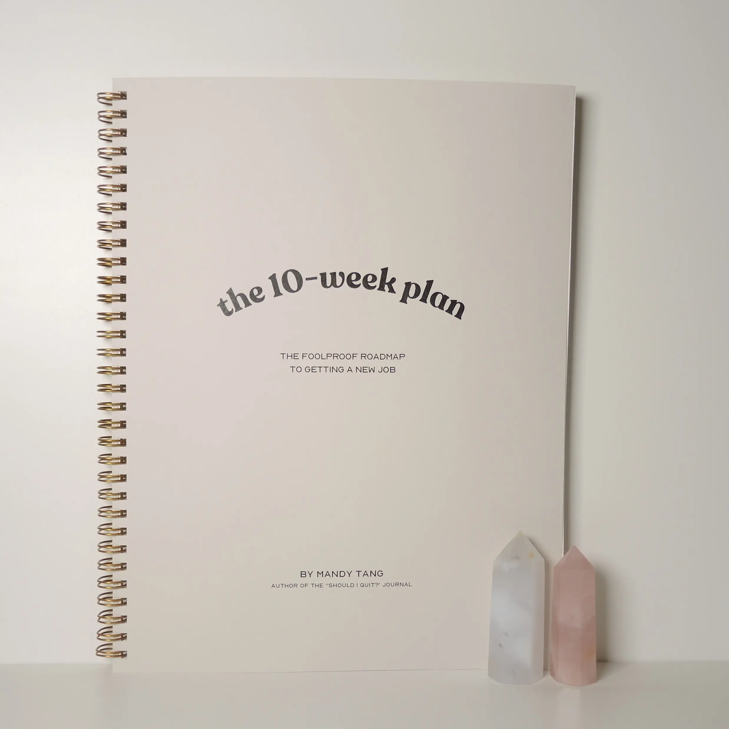 The 10-Week Plan to Get a New Job - Career Guide